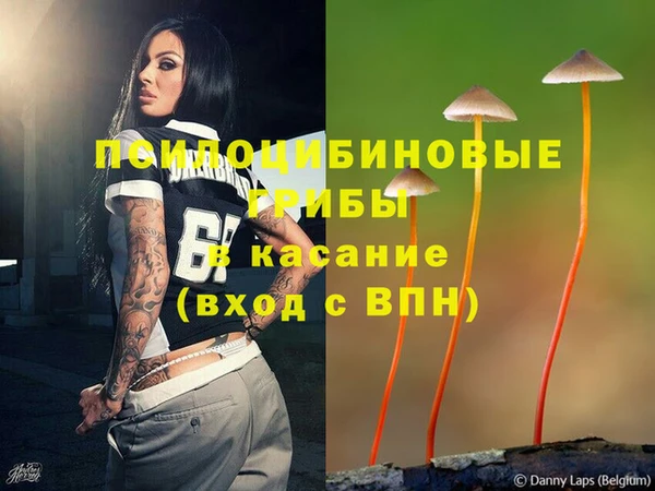 молекула духа Куйбышев