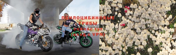 молекула духа Куйбышев
